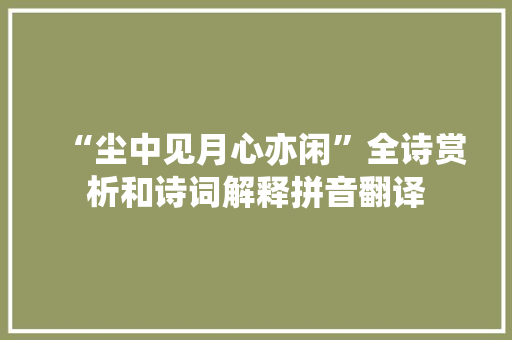 “尘中见月心亦闲”全诗赏析和诗词解释拼音翻译