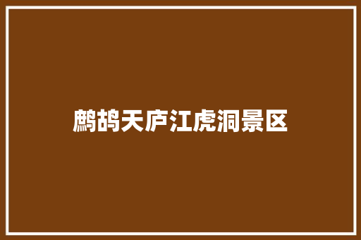 鹧鸪天庐江虎洞景区