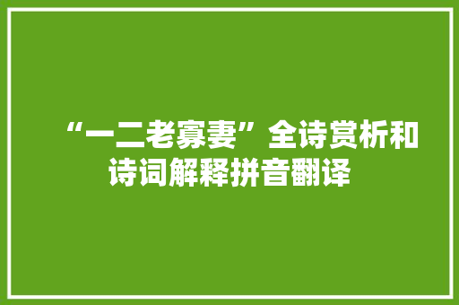 “一二老寡妻”全诗赏析和诗词解释拼音翻译