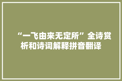 “一飞由来无定所”全诗赏析和诗词解释拼音翻译