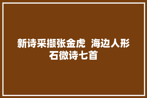 新诗采撷张金虎  海边人形石微诗七首