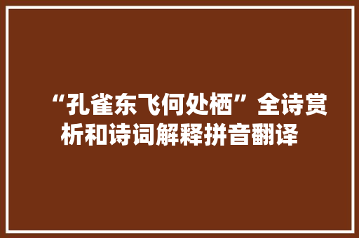 “孔雀东飞何处栖”全诗赏析和诗词解释拼音翻译