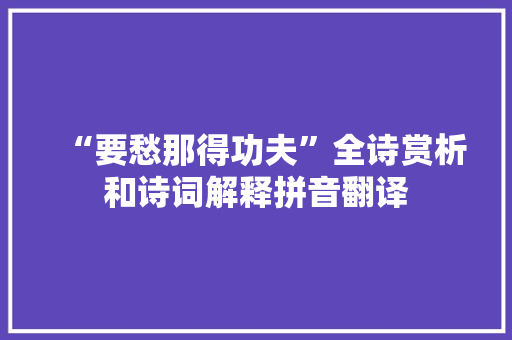 “要愁那得功夫”全诗赏析和诗词解释拼音翻译