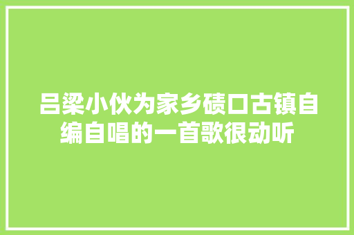 吕梁小伙为家乡碛口古镇自编自唱的一首歌很动听