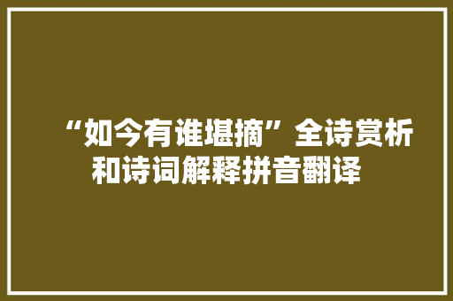 “如今有谁堪摘”全诗赏析和诗词解释拼音翻译