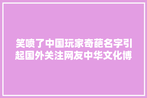 笑喷了中国玩家奇葩名字引起国外关注网友中华文化博大年夜精深