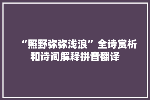 “照野弥弥浅浪”全诗赏析和诗词解释拼音翻译