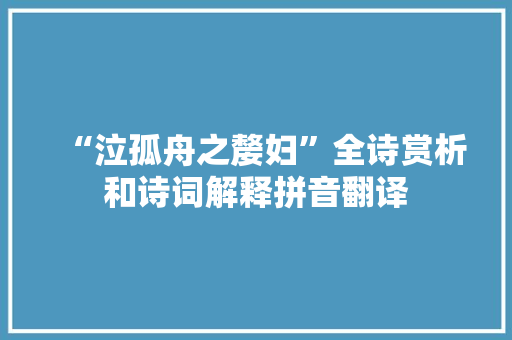 “泣孤舟之嫠妇”全诗赏析和诗词解释拼音翻译