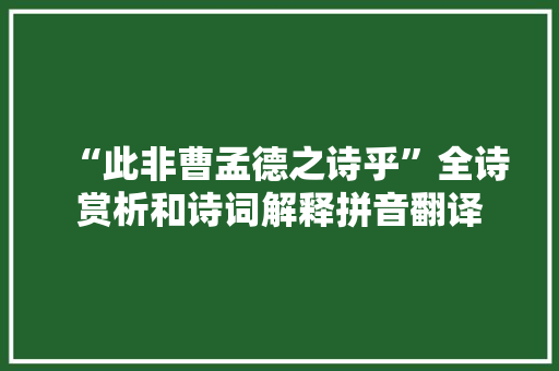 “此非曹孟德之诗乎”全诗赏析和诗词解释拼音翻译