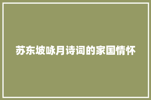 苏东坡咏月诗词的家国情怀