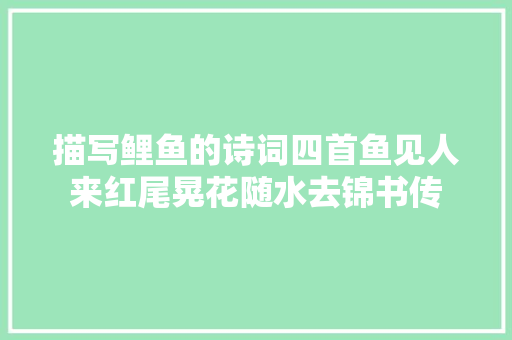 描写鲤鱼的诗词四首鱼见人来红尾晃花随水去锦书传